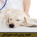 دامپزشکی