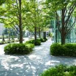 مهندسی فضای سبز