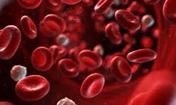 پروپوزال خون شناسی هماتولوژی