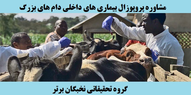 مشاوره پروپوزال بیماری های داخلی دام های بزرگ