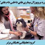 مشاوره پروپوزال بیماری های داخلی دام های کوچک